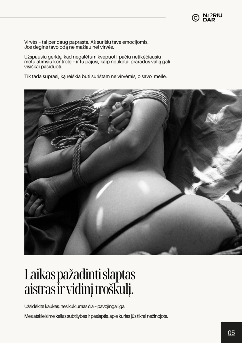 Aksominis BDSM gidas internetu – knyga poroms apie fantazijų tyrinėjimą, shibari ir intymumo kūrimą.
