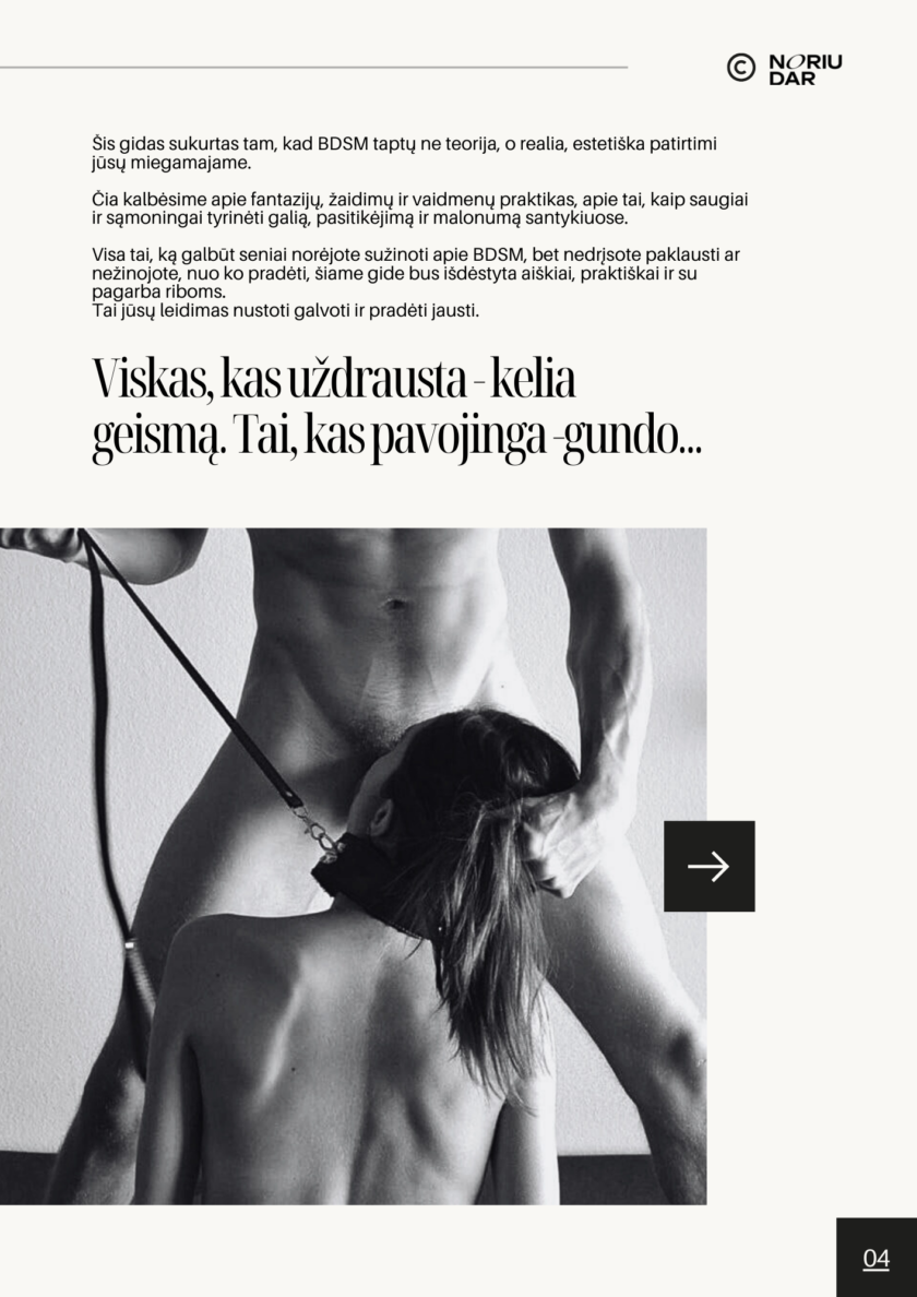 Elektroninė knyga Aksominis BDSM PDF formatu: išsamus praktinis vadovas poroms apie saugius galios žaidimus ir dominavimą.